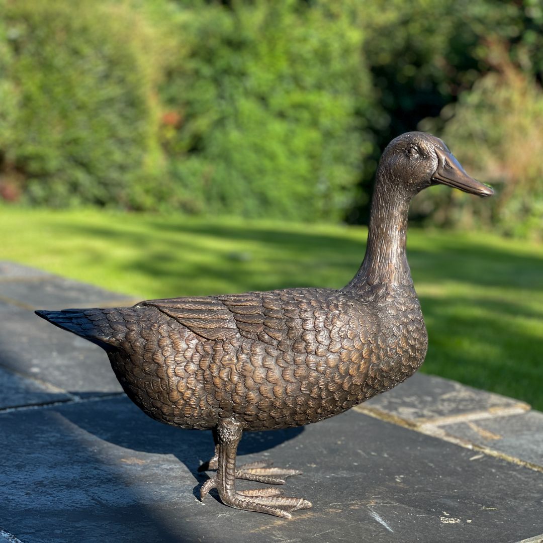 Bronze Duck - Image 4