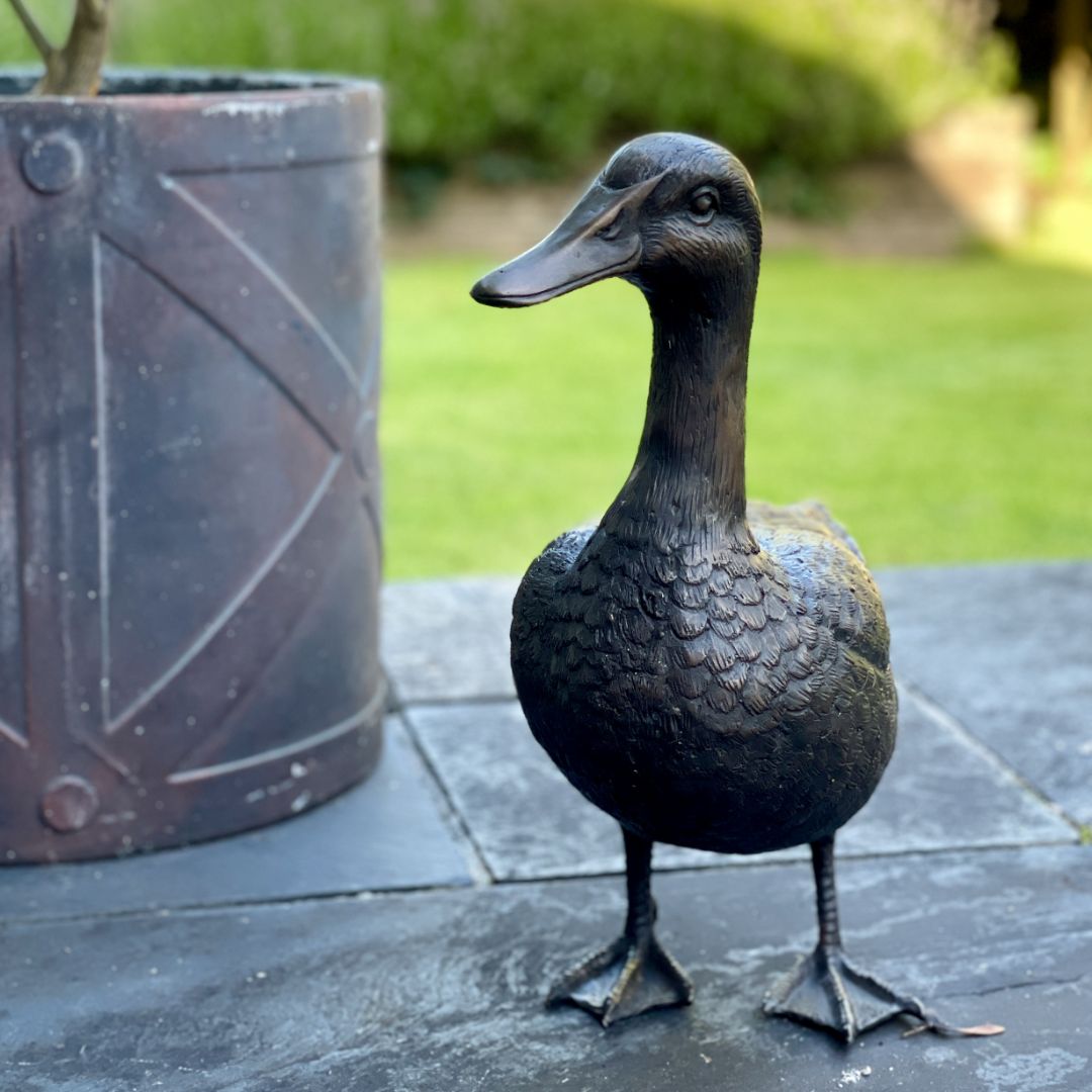 Bronze Duck - Image 2