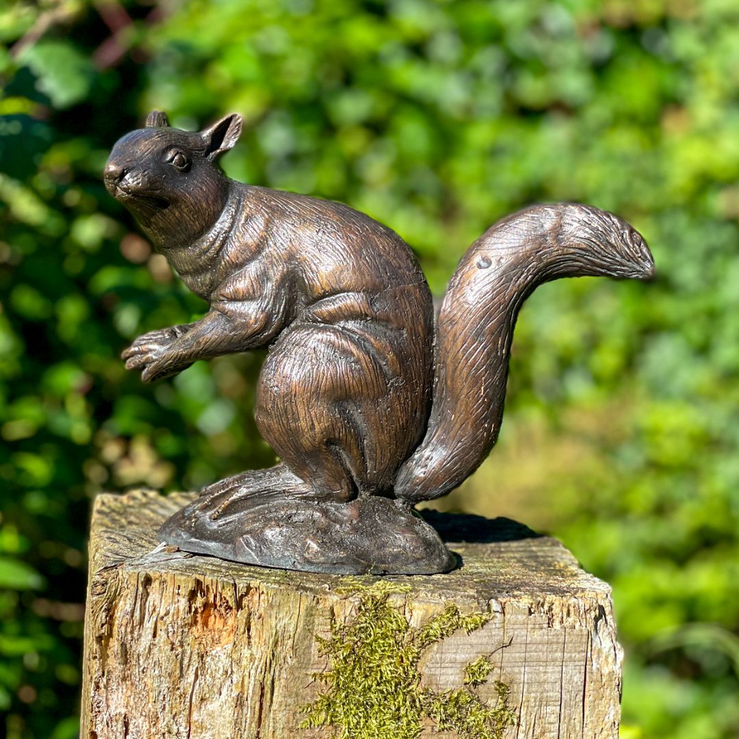 Bronze Squirrel by Adams Bronze