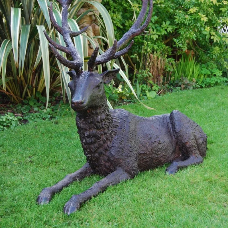 Stag Lying Down